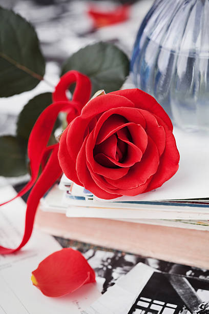 istock Red rose flower with stack of postcards and retro photos 505240512