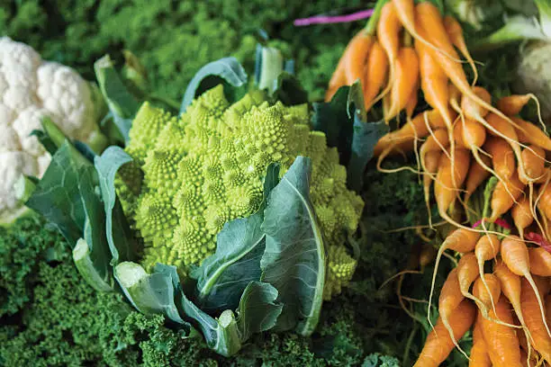 Photo of Fresh market vegetables