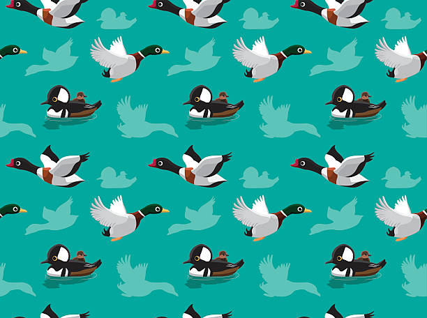 ducks tapete 3 - gattung kasarkas stock-grafiken, -clipart, -cartoons und -symbole