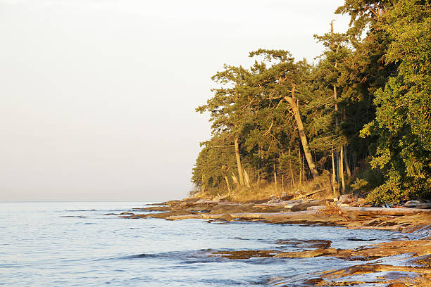 istock Beach at Galiano Island 505243580