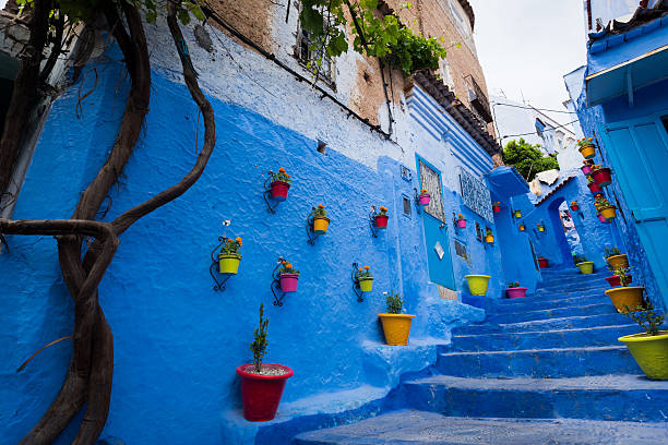 istock Alleyway in Chefchaouen, Morocoo 505244800