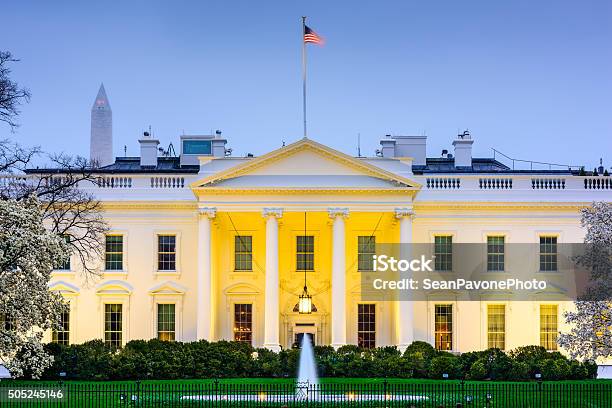 Dc At The White House Stock Photo - Download Image Now - White House - Washington DC, Night, Cherry Blossom