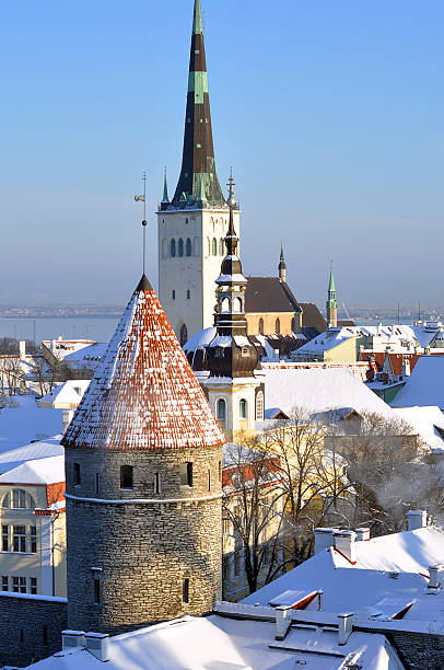 istock Panoramic view of old part of Tallin (Estonia) 505245354