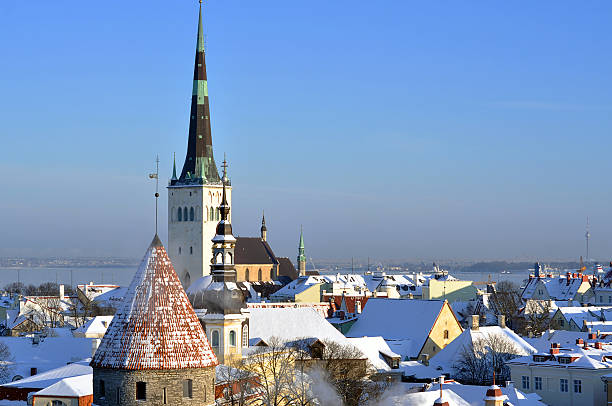 istock Panoramic view of old part of Tallin (Estonia) 505245414