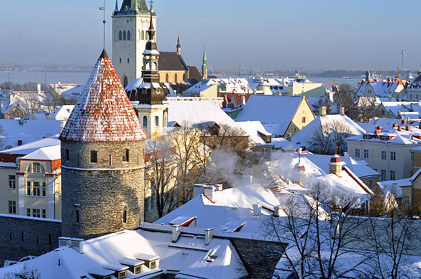 istock Panoramic view of old part of Tallin (Estonia) 505245492