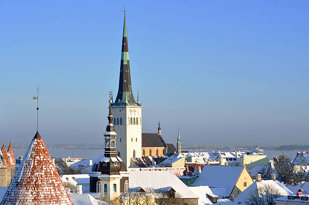 istock Panoramic view of old part of Tallin (Estonia) 505245774