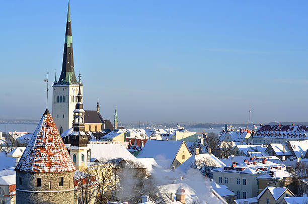 istock Panoramic view of old part of Tallin (Estonia) 505245988