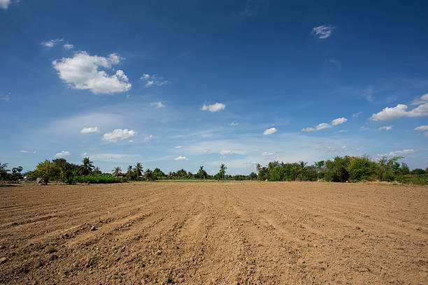 istock prepare plantation with blue sky 505248913