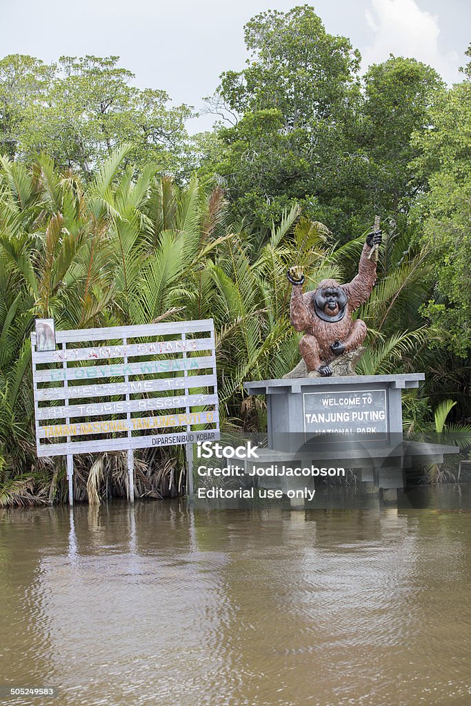 Orangutan statue at Tanjung Puting Park, Borneo, Indonesia Borneo, Indonesia - July 19, 2014: A statue of an orangutan sits atop a sign welcoming visitors to Tanjung Puting National Park.  This wildlife preserve, which emcompasses over 1,000 acres, is known for the prevalence of orangutans as well as the proboscis monkey.  Many other species of primates, wild animals and birds make Tanjung Puting their home.  It is known as a popular  tourist destination for visitors to the area. Animal Wildlife Stock Photo