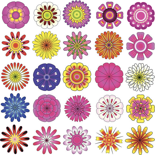 illustrazioni stock, clip art, cartoni animati e icone di tendenza di fiore set vettoriale colorato - tulip sunflower single flower flower