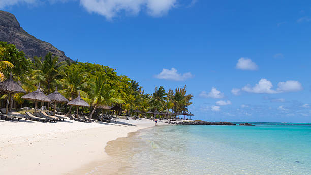 istock view of the sea beach 505252313