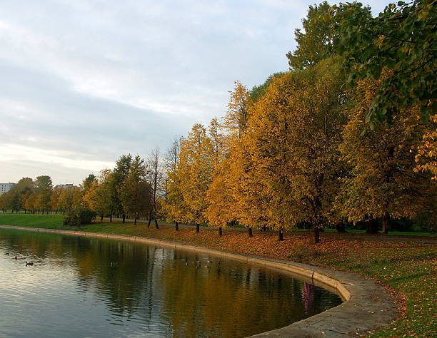 istock city park at autumn 505254053