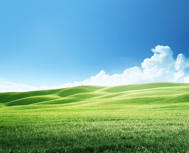 istock hills in sunny day Tuscany, Italy 505255385