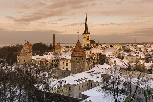 istock Panoramic view of Tallinn. Estonia 505258134