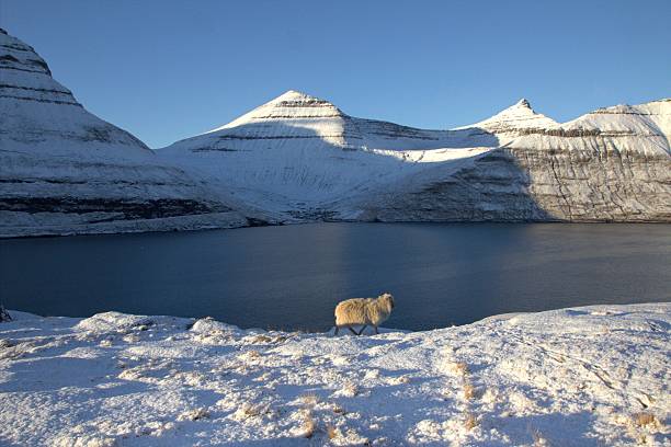 Drangarnir, Vágar, Faroe Islands - January 27, 2022; One of the most unique sights in the Faroe Islands are “Drangarnir”. Drangarnir are two sea stacks between Vágar and the islet Tindhólmur. The distinct names of Drangarnir are Stóri Drangur and Lítli Drangur which can be translated into Large- and Small sea stack. The large sea stack is 230 feet tall.