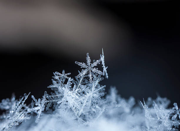 istock natural snowflakes on snow. 505263728