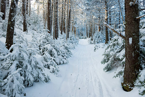 Snow-covered Appalachian Trail - Roan Mountain