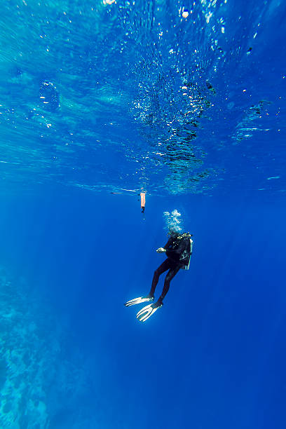 istock Diver Holding a Deco Marker Near the Surface 505265622