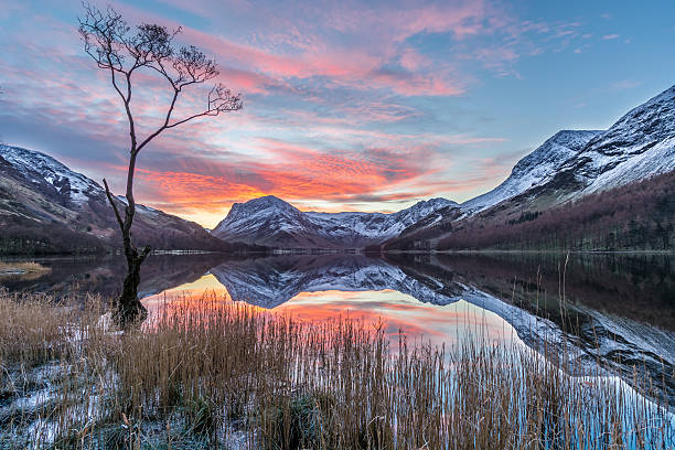 Vibrant Sunrise At Buttermere With Reflections And Snow On Mountains. A vibrant sunrise on a cold winter morning at Buttermere in the English Lake District. The photograph features an isolated bare tree in the foreground with the beautiful surrounding fells such as Fleetwith Pike covered in a layer of snow in the background. It was a still calm morning with no wind resulting in perfect reflections in the water. english lake district photos stock pictures, royalty-free photos & images