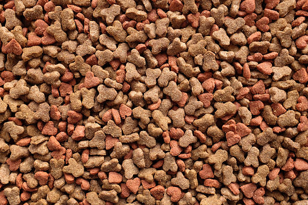 istock Dried cat food background 505266632