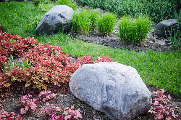 istock Decorative flower bed in a garden with rocks and plants 505266678