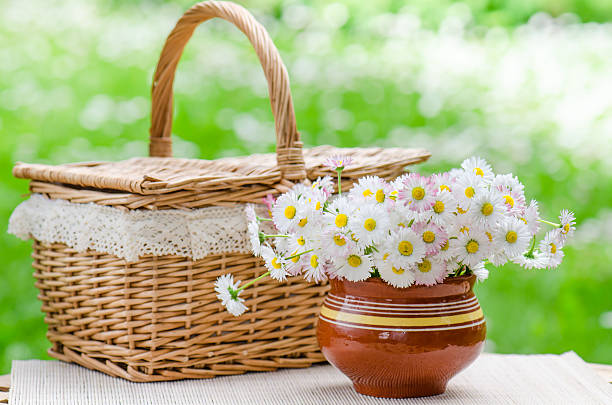 istock bouquet daisies in a pot on the  table for picnic 505267616