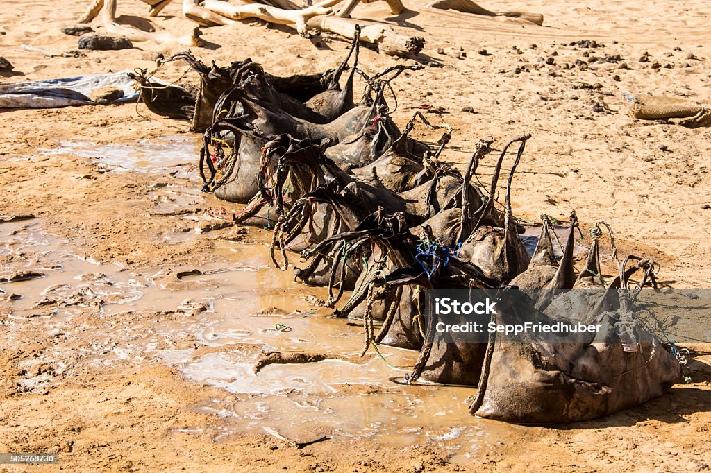 Nomads filling water at a deep  fountain  Sudan Nomads fill their water sacks at a deep fountain in the desert, Sudan Africa Stock Photo