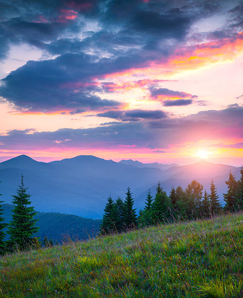istock Colorful summer sunrise in the Carpathian mountains 505269002