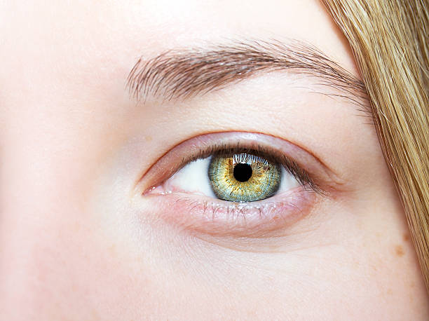 istock Beautiful insightful look eyes 505270778