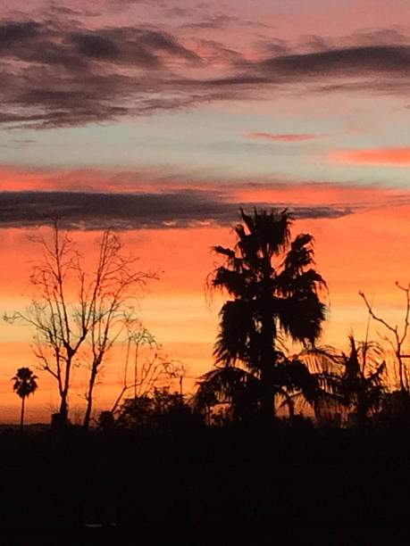 istock west hollywood winter sunrise 505272334
