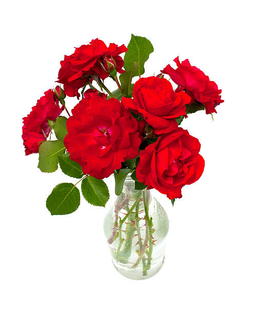 roses rouges dans un vase de verre - dozen roses rose flower arrangement red photos et images de collection