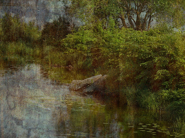 istock picture of the Creek 505274510
