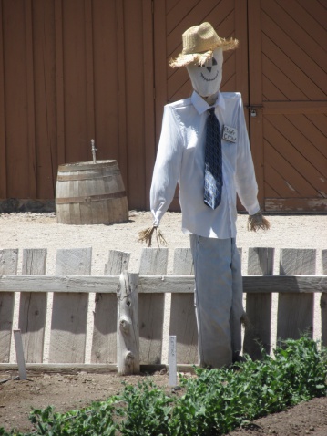 A scarecrow in a garden. This picture was taken at Cove Fort in Utah.