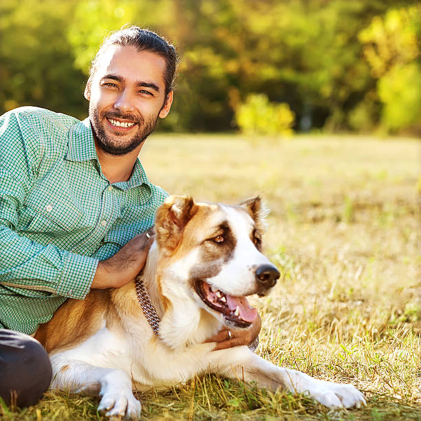 istock Man and central Asian shepherd walk in the park. 505282713