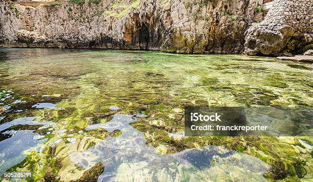 Photo libre de droit de Apulia Rock Landascape banque d'images et plus d'images libres de droit de Couleur verte - Couleur verte, Couleur vive, Culture méditerranéenne