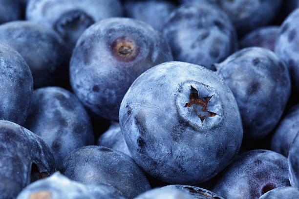istock fresh ripe blueberries closeup 505285931