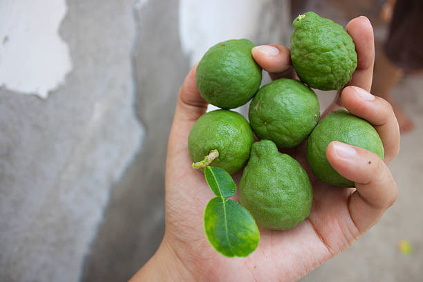 istock Lime in the hands of women 505288055