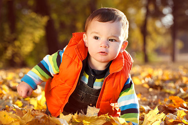istock little boy outdoors autumn portrait 505290482