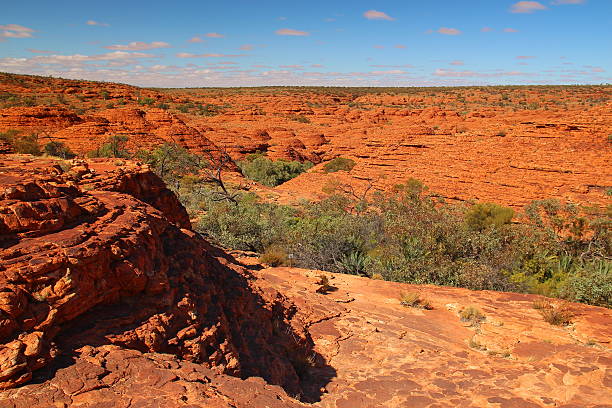 istock Kings Canyon, Australia 505291246