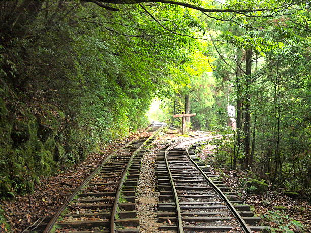 istock The Arakawa Railway Trail in Yakushima 505294414