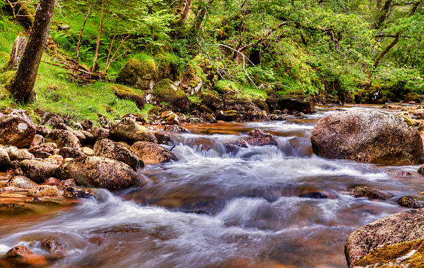 Piękne rzeki w Szkocji Highlands – zdjęcie