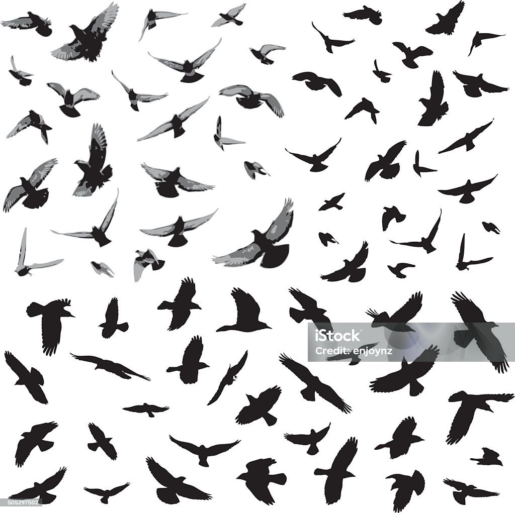 Bird silhouettes Flying bird silhouettes Bird stock vector