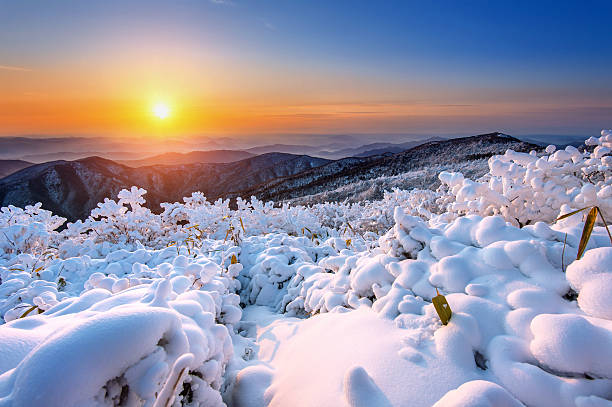 istock Sunrise on Deogyusan mountains covered with snow in winter,Korea 505298716