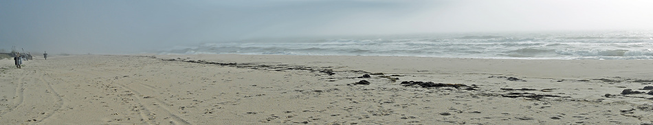 A foggy morning on the beach. 