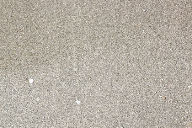 istock Close up of sea beach sand 505298932