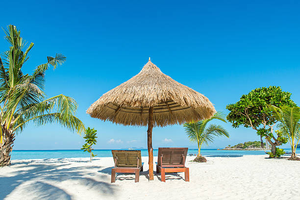 istock Beach Chairs and Umbrella on island in Phuket, Thailand 505302180