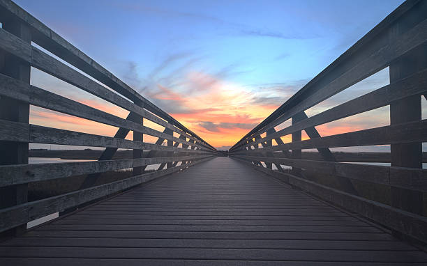istock Wooden Boardwalk at sunset at Bolsa Chica 505303236