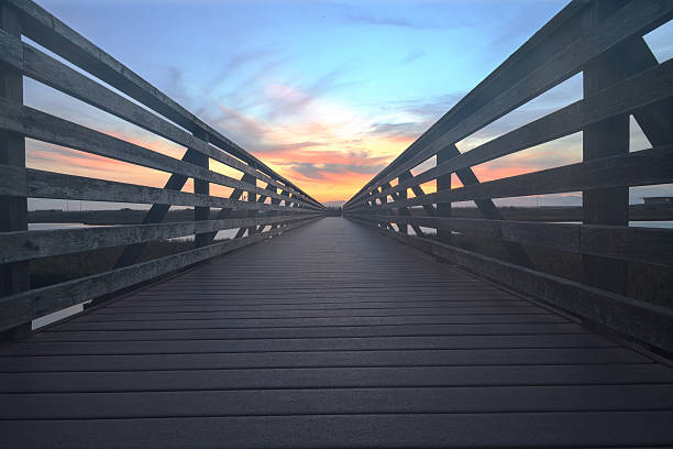 istock Wooden Boardwalk at sunset at Bolsa Chica 505303370