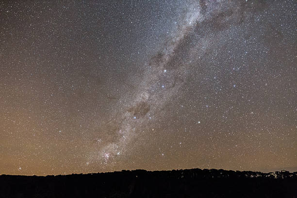 Milky Way and the Southern Cross Milky Way and the Southern Cross rising above a treeline. stars in your eyes stock pictures, royalty-free photos & images