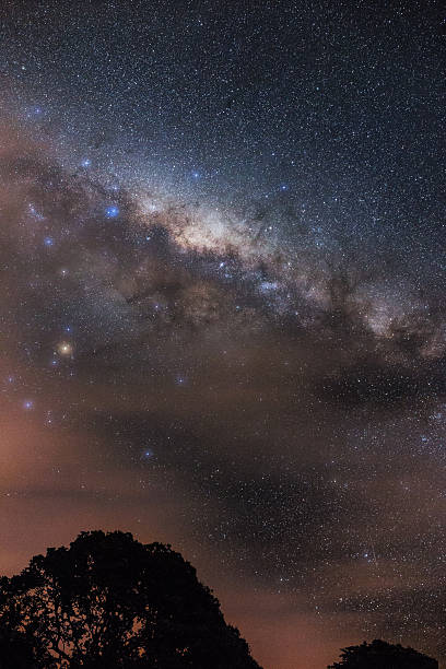 Milky Way shining bright at night Milky Way shining bright at night above Sullivans Bay, New Zealand stars in your eyes stock pictures, royalty-free photos & images